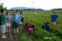 picture-066