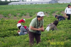 picture-073