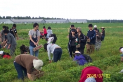 picture-074