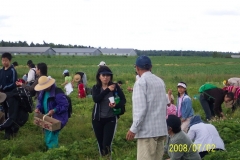 picture-075