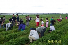 picture-076