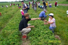 picture-085